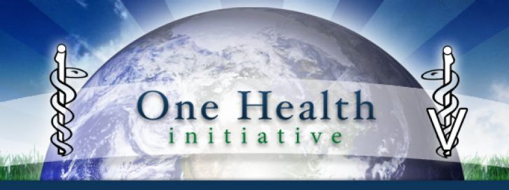 Iniciativa `One Health`