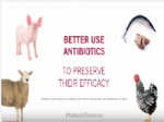 Vídeo de la Organización Mundial de la Sanidad Animal (OIE) sobre el uso de los antibióticos