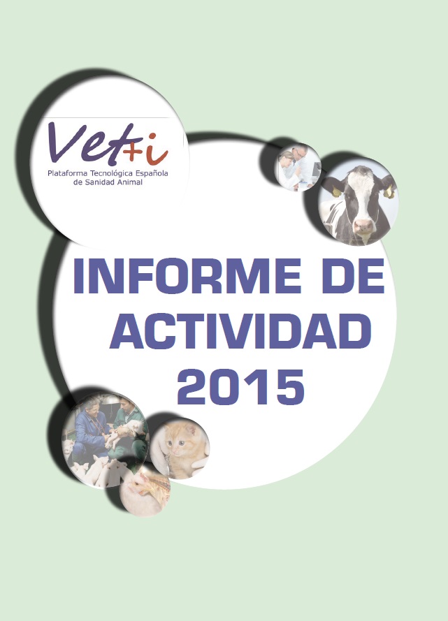 informe actividades vet+i 2015